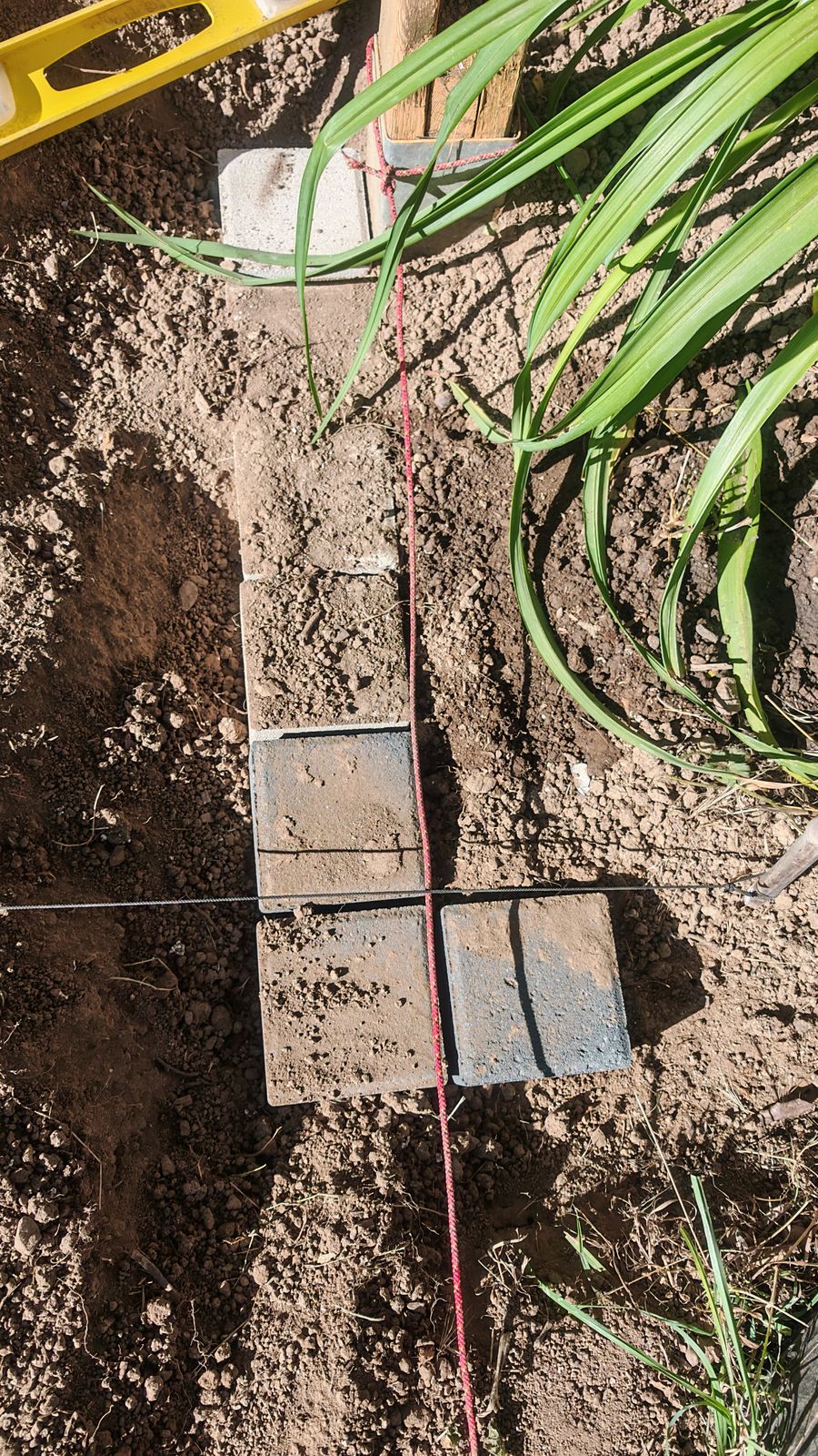 Réalisation de bordure pour s'y retrouver entre allée et planche de potager