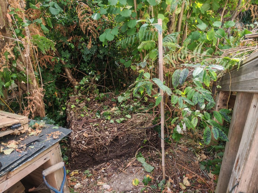 Démoulage du composter, sans cassé le plaqueminier proche