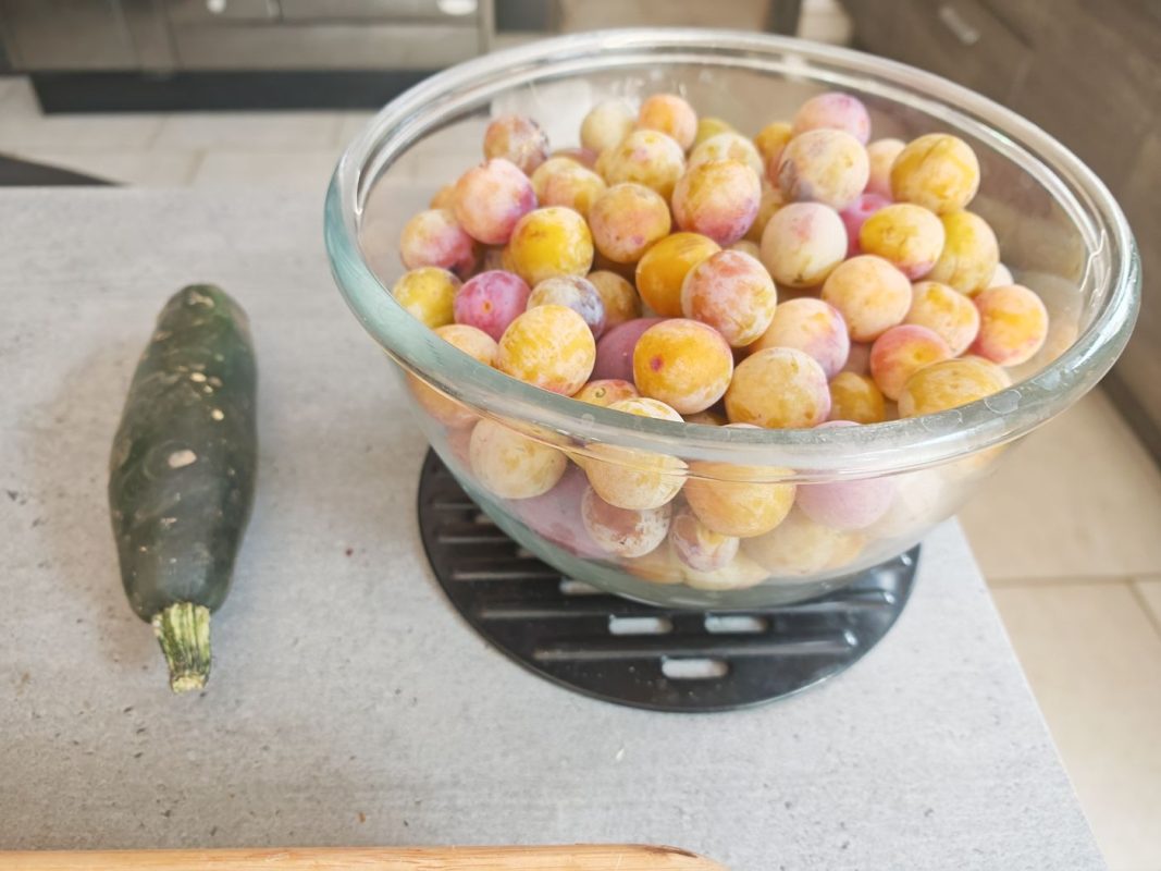 02/08 - Courgette et mirabelles
