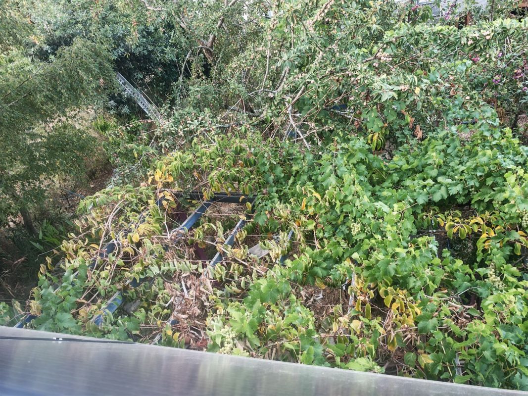 Y'a des trous de sécheresse dans la pergola