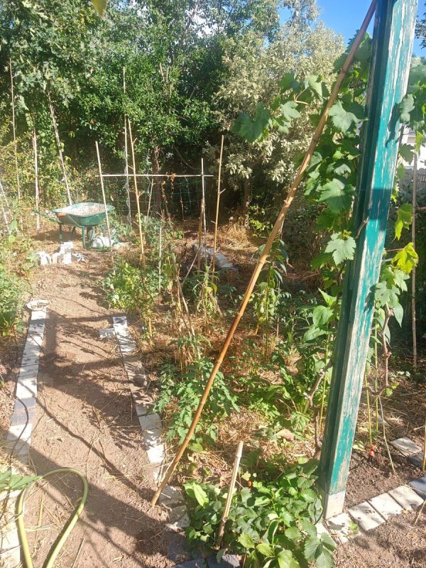 Potager zone 1