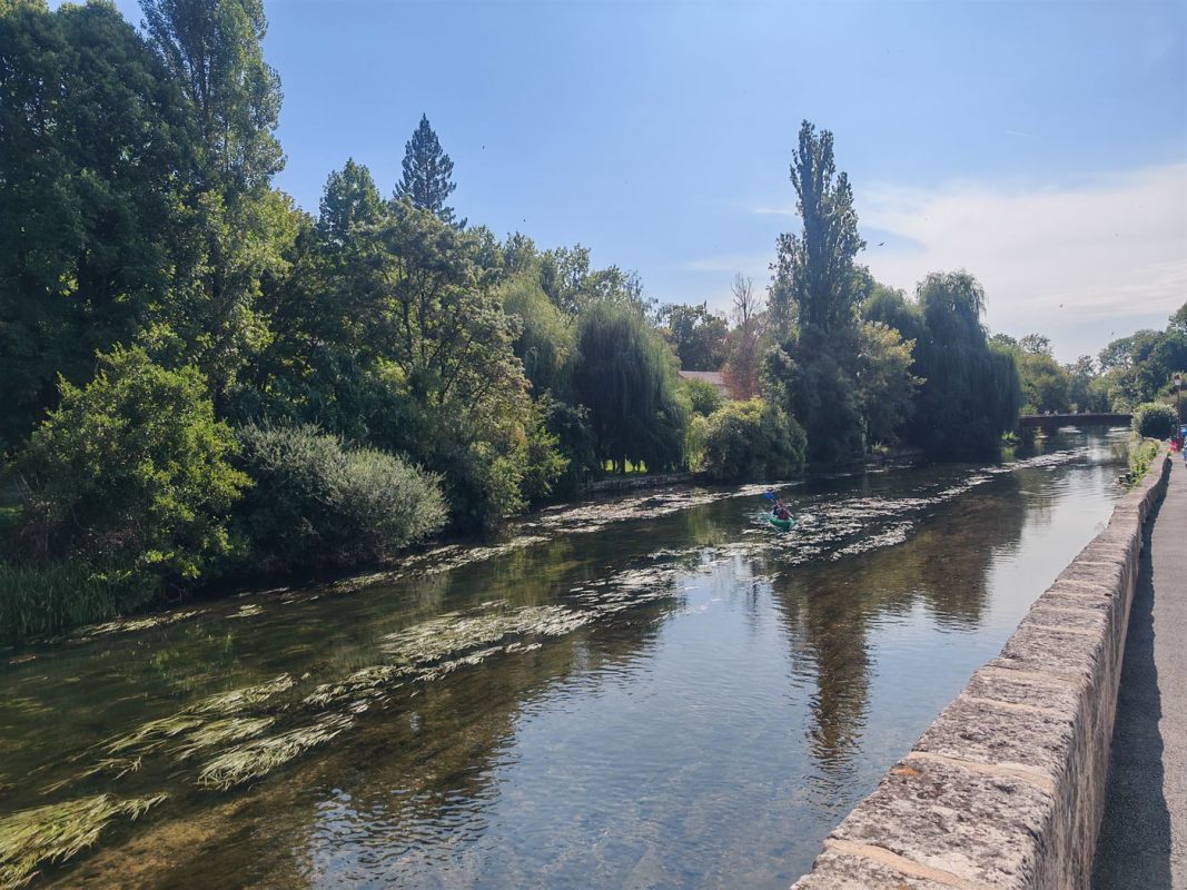 Des canoés sur la Dronne