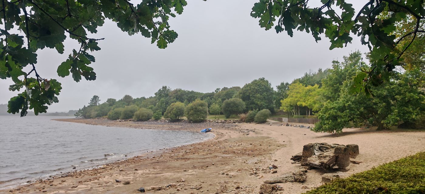 Plage sur le lac