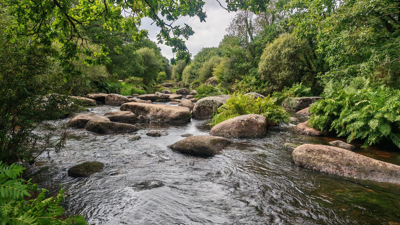 Jolie cour d'eau