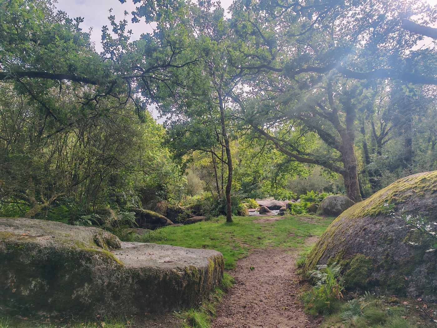 Zone des vasques