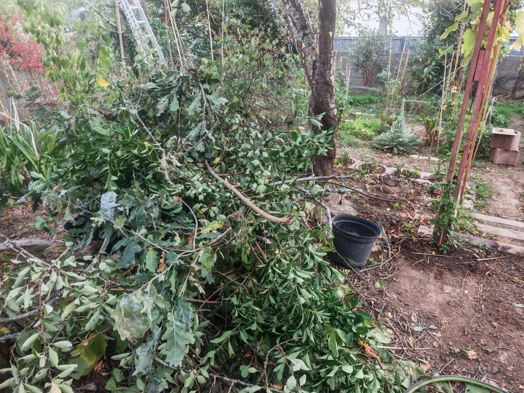 Gros tas de branche à broyer