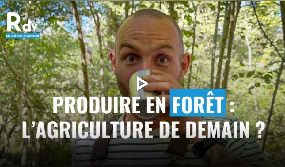 Reportage La forêt nous régale, Tébéo
