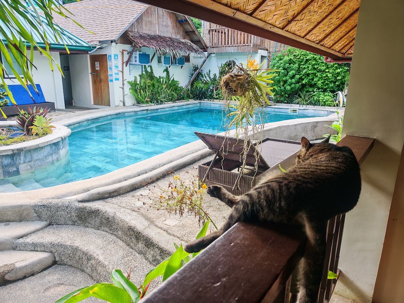 La piscine devant notre chambre