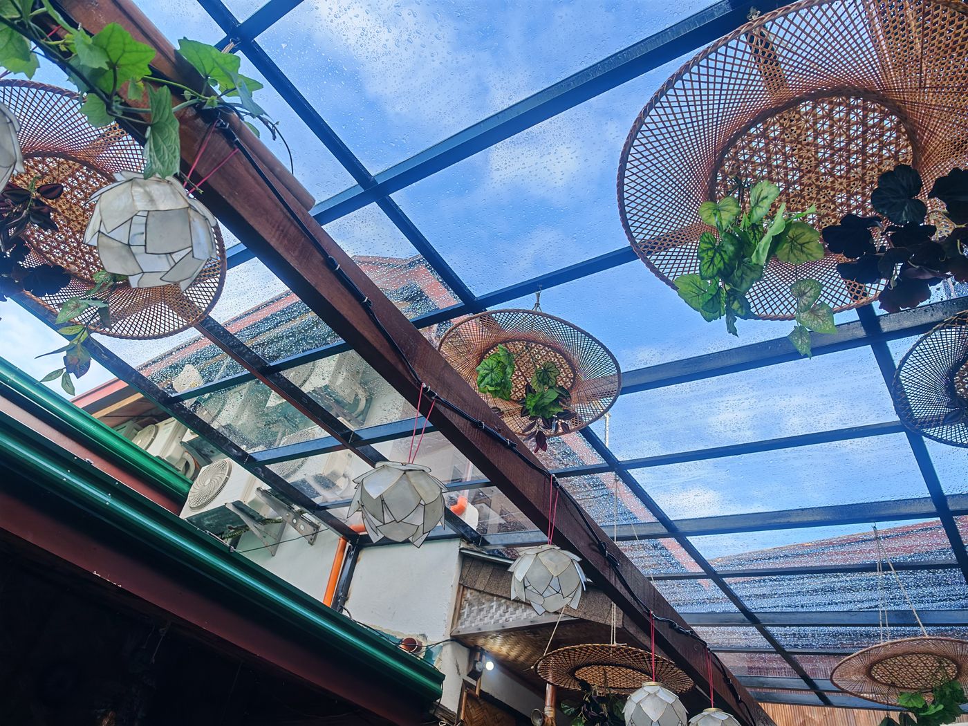 Petits lampions et plantes partout