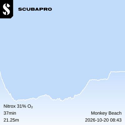 2026-10-20 à 08h43min : Monkey  Beatch