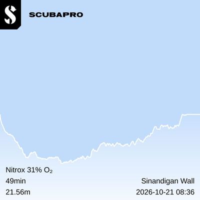 2026-10-21 à 08h36min Sinandigan Wall