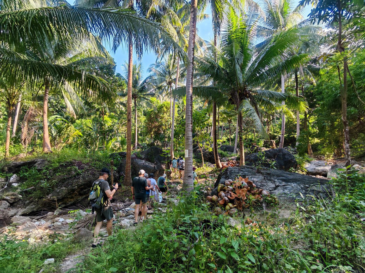 Partout, des tas de cosse de coco