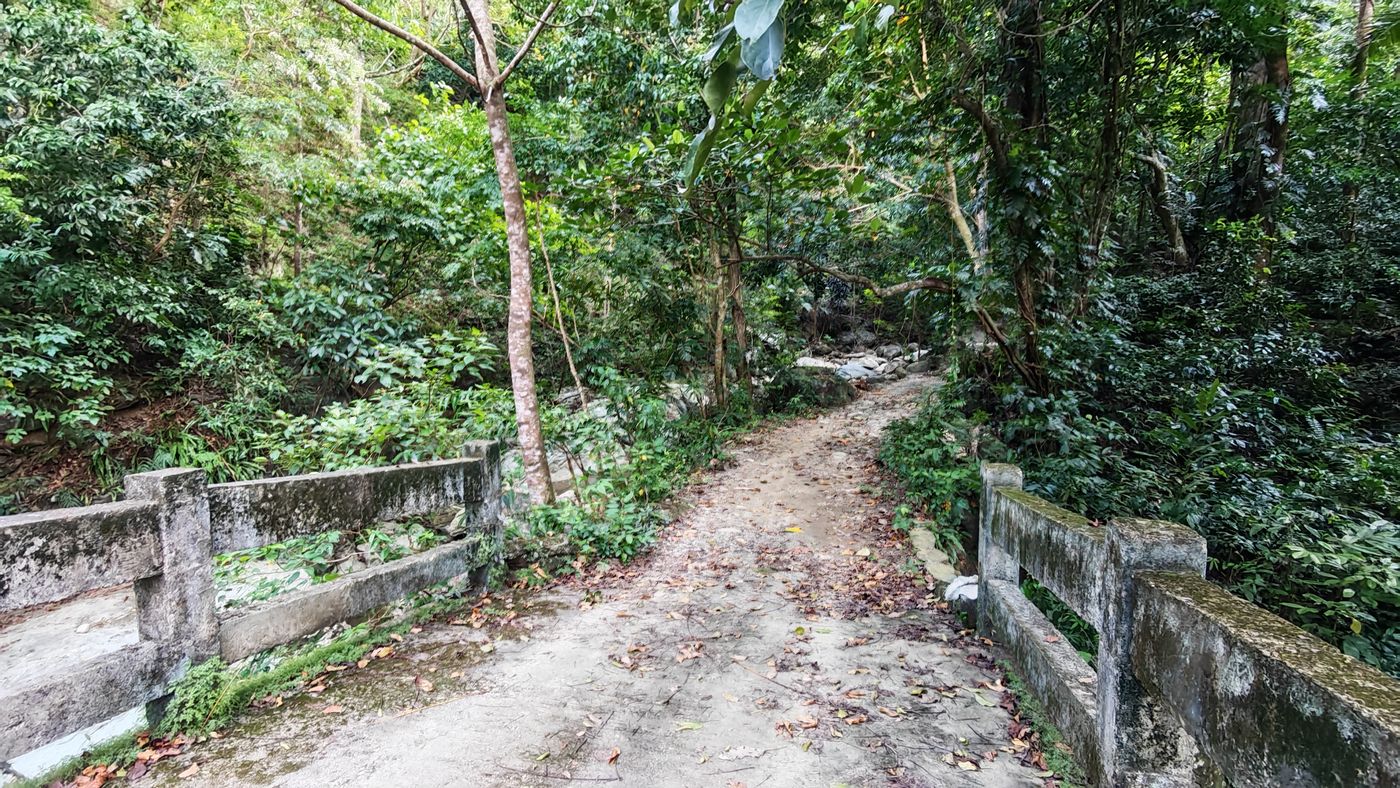 Une ancienne route de 1944