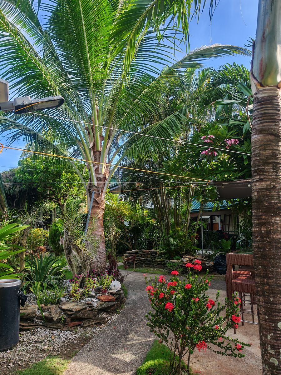 Beau temps dans le jardin pour aller au petit déjeuner
